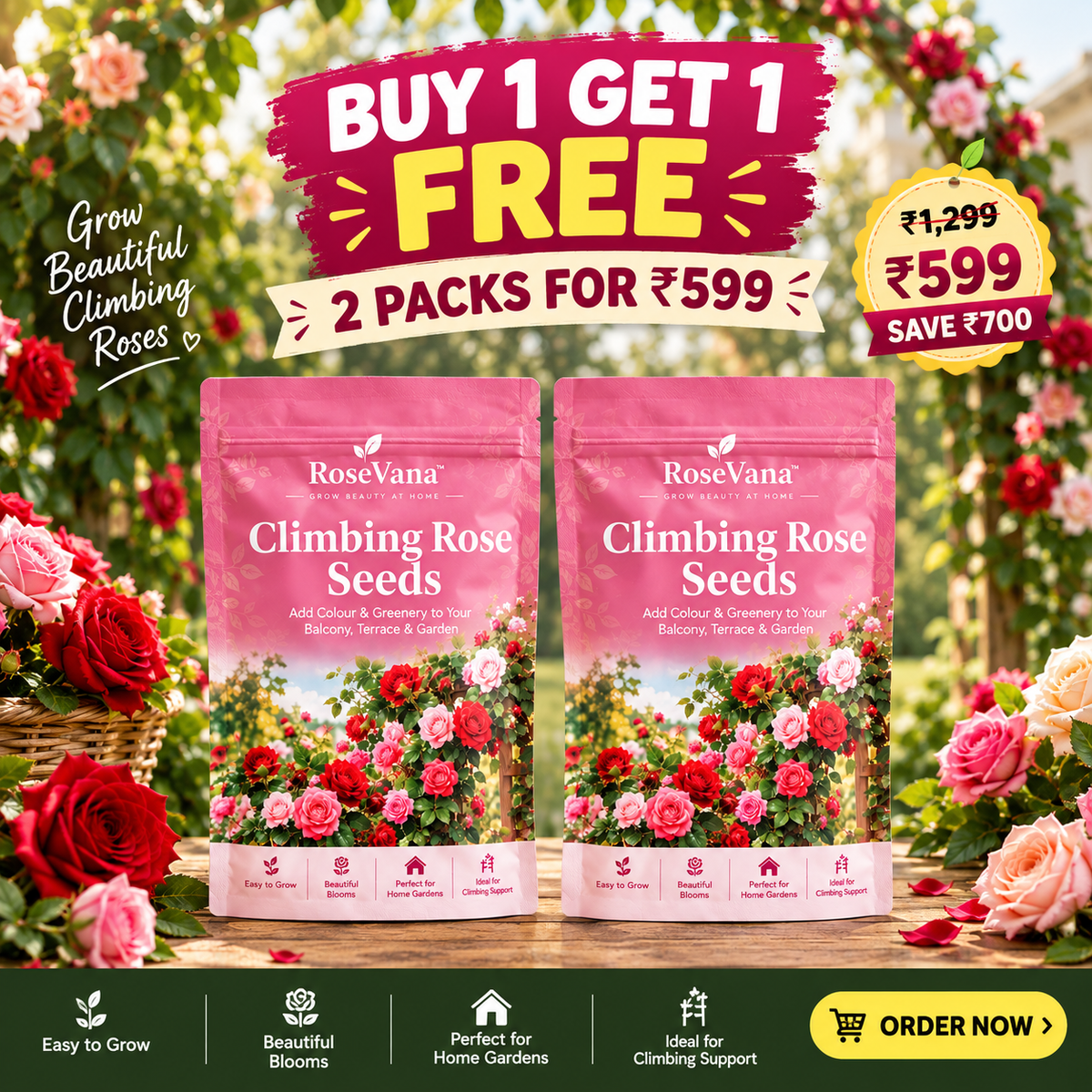 RoseVana™ – Premium Climbing Rose Seeds | Buy 1 Get 1 FREE